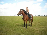 x_8e931a77.webp