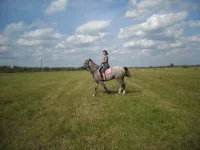 x_31fbf2a5.webp
