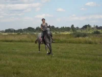 x_00149286.webp