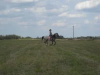x_2d110a29.webp