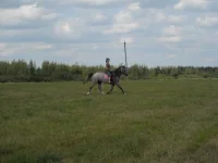 x_483c0064.webp
