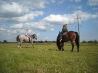 x_5dd8a0de.webp