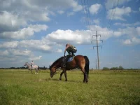 x_0a6f9119.webp