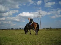 x_4748bcbc.webp