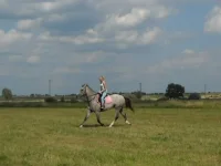 x_7097c025.webp