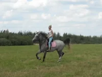 x_6ad4c189.webp