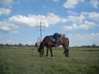 x_ab7efc21.webp