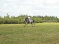 x_2281206d.webp