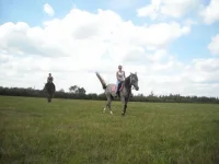 x_b25a9378.webp