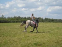 x_52671e8e.webp