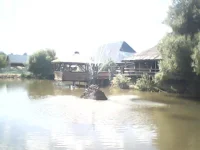 IMG0100A.webp