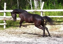 112.webp