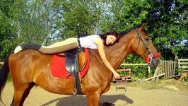 getImage0012.webp