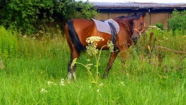 getImage8.webp