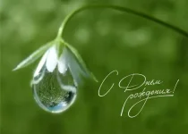 t.webp