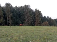SAM_1848.webp