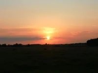 SAM_1851.webp