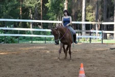 Копия IMG_9050 (1).webp