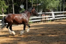 IMG_9305 (1).webp