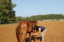 IMG_9592 (1).webp
