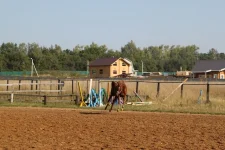IMG_9594 (1).webp