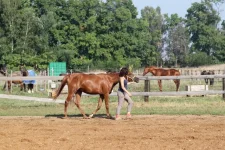 IMG_9642 (1).webp