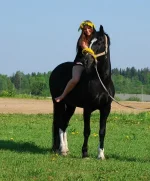 x_05b772b8.webp