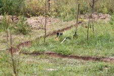 IMG_9684 (1).webp