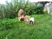SAM_1873.webp