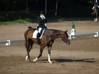 125270096.webp