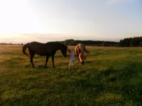 SAM_1947.webp