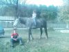 DSC02907.JPG