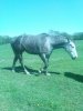 DSC03030.JPG