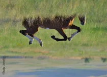 vverhtormachkami.webp