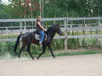 DSCF6477.webp