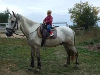 DSCF64581.webp
