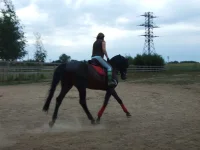 DSCF6486.webp