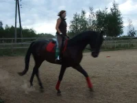 DSCF6489.webp