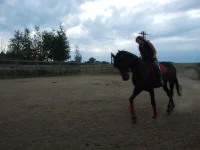 DSCF6491.webp