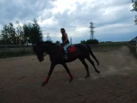DSCF6494.webp