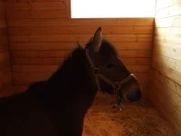 DSCF6397.webp