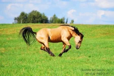 y_57deef87.webp