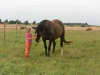 SAM_1981.webp