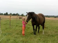 SAM_1980.webp