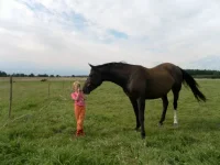 SAM_1979.webp