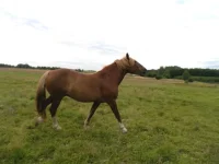 SAM_1887.webp