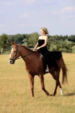 x_150389ac.webp