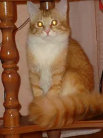 DSC03210.webp