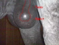 05092011908..webp