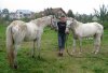 IMG_0246a.jpg